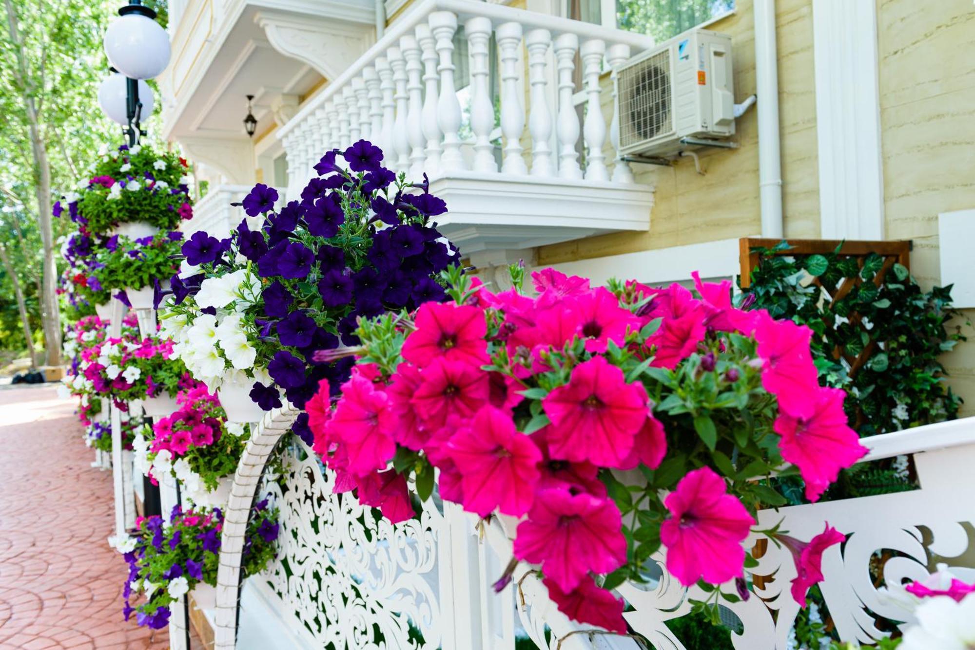 Sweet Homes 6 Apartments Sunny Beach Exterior foto